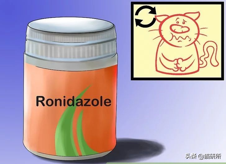 猫咪粪便检测出菌群超标,猫咪腹泻吐白色泡沫食欲还行