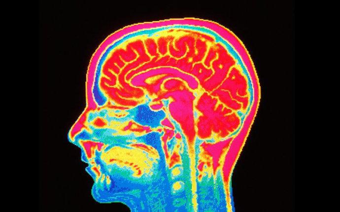 瀛╁瓙鎬у惎钂欓槻鎬т镜,鏁欏効绔ラ槻鎬т镜浜斿ぇ璇尯
