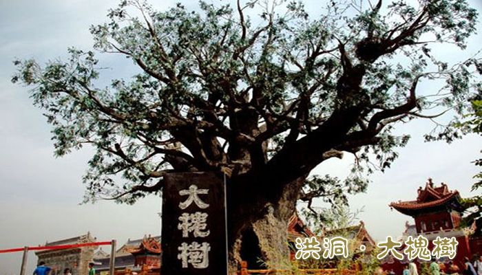 中国娃歌曲背景,中国娃原唱是谁唱的