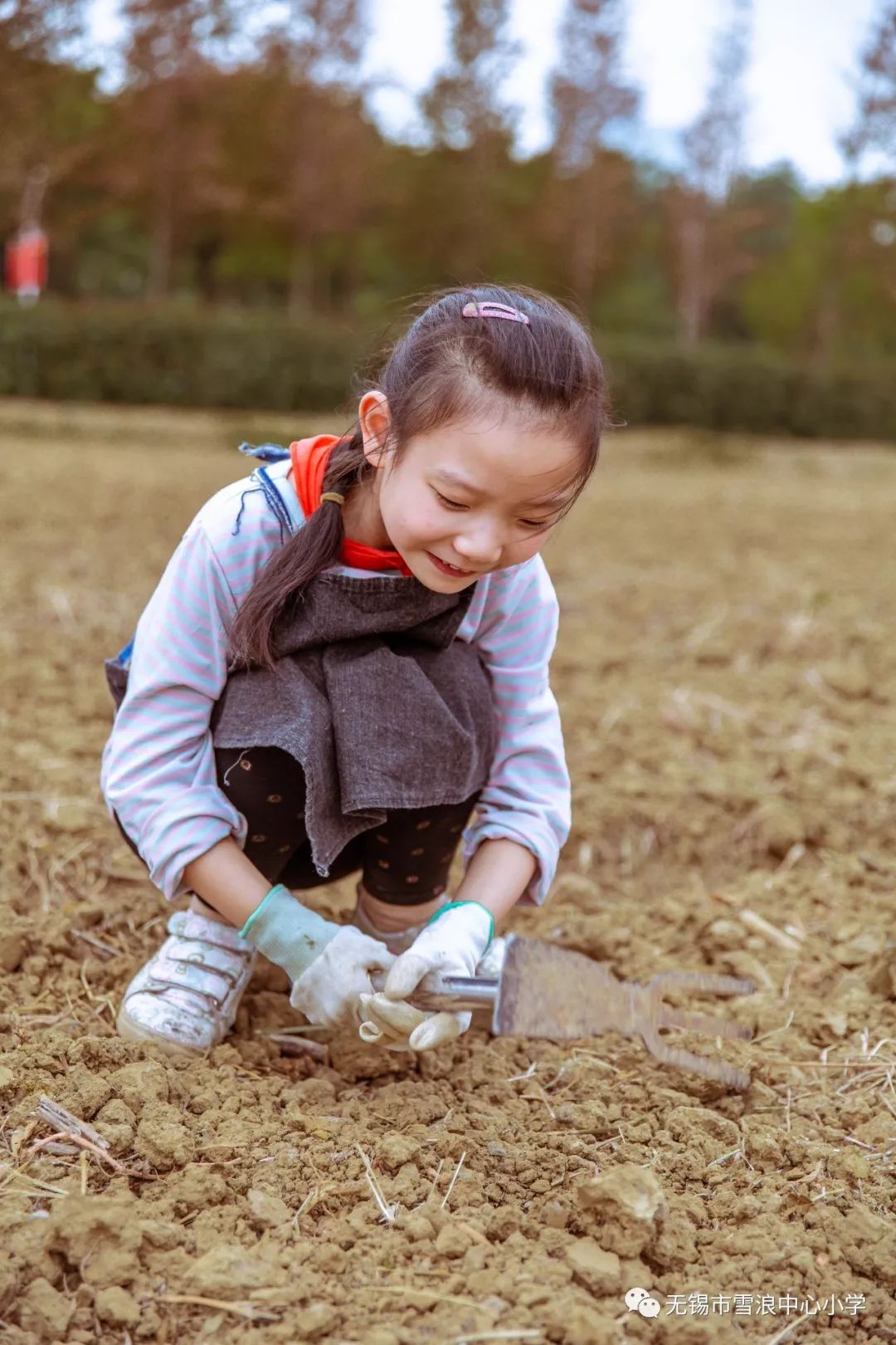 翻地、播种…无锡老小将课堂搬到了田间地头