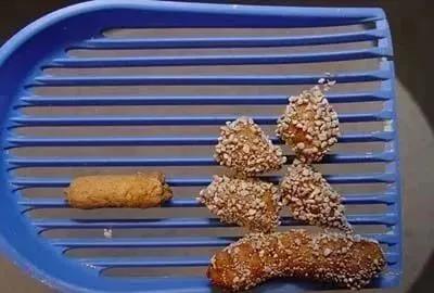 铲屎官必知猫咪如何排便算正常,猫咪铲屎官必备常识