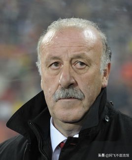 法国史上十大伟大球员,法国最伟大足球教练