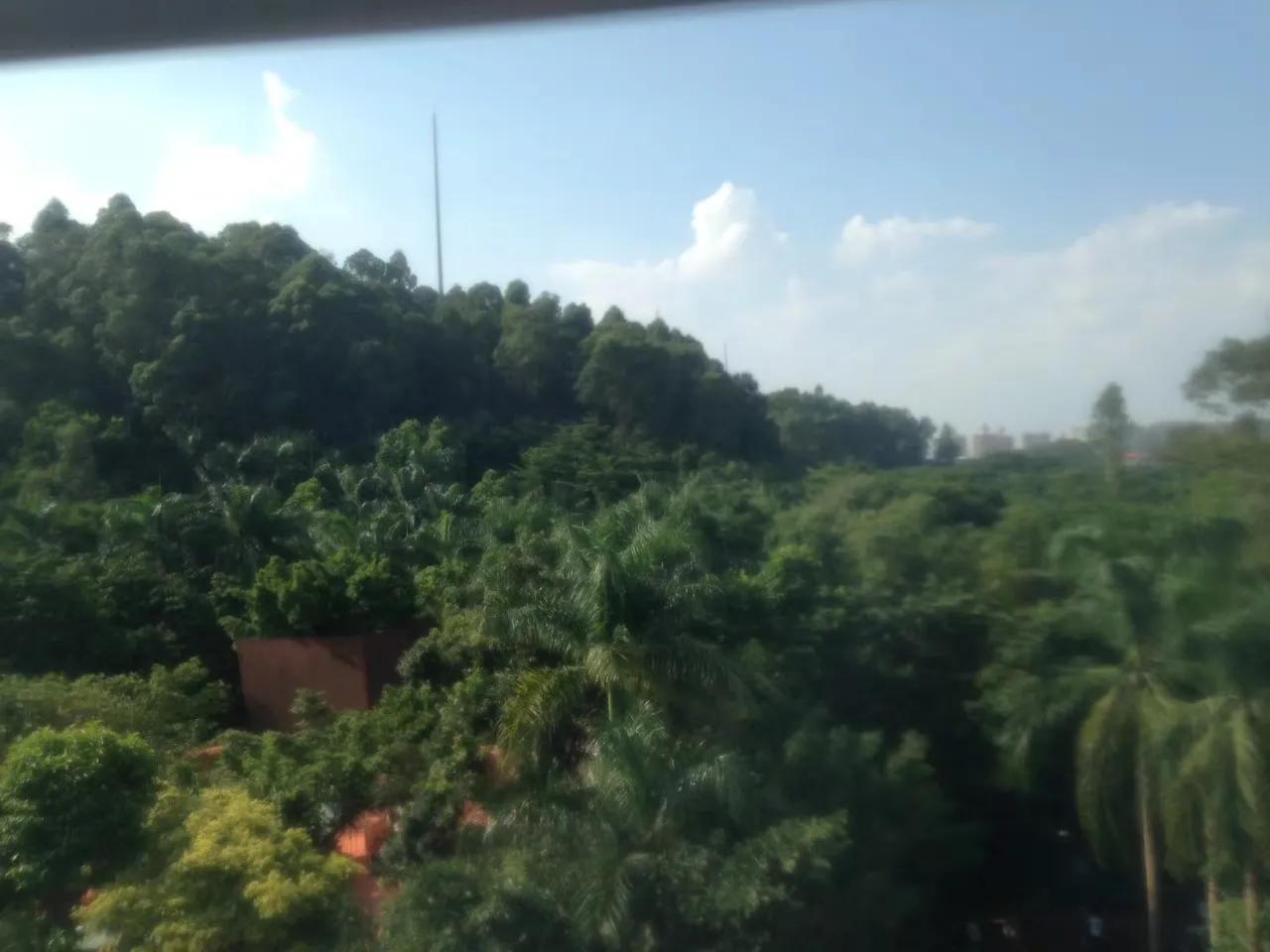 广州长隆野生动物园最全游玩攻略,长隆野生动物园游玩攻略