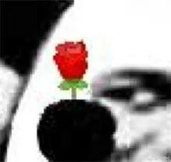 吃瓜一词由来,吃瓜一词的来历