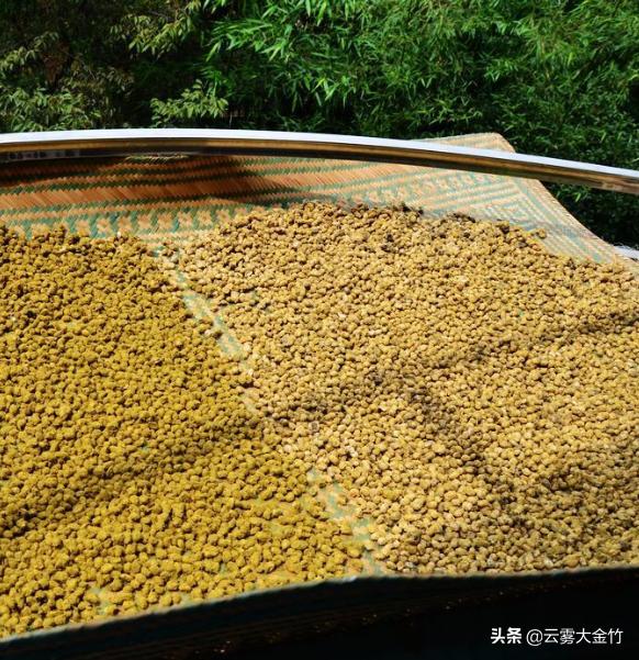 家庭自酿黄豆酱（酱油）-感受食品发酵的神奇