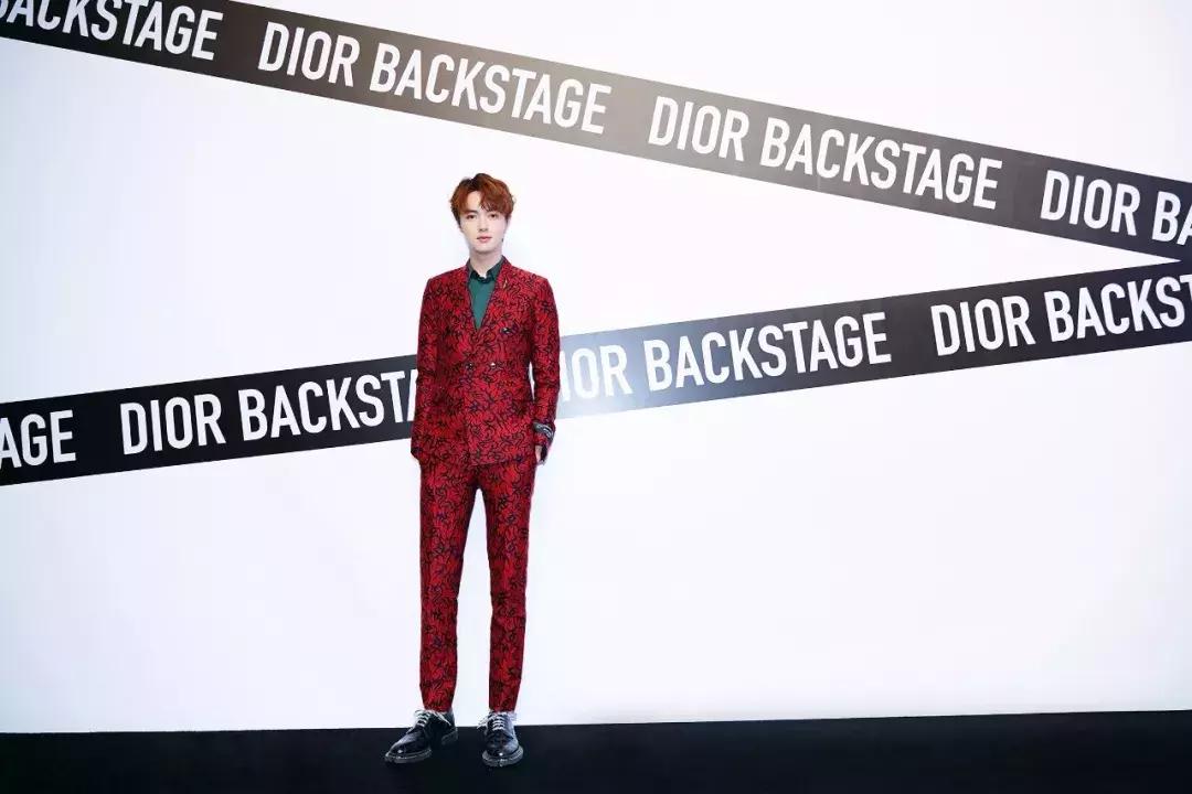 dior明星红毯造型大全,dior明星彩妆