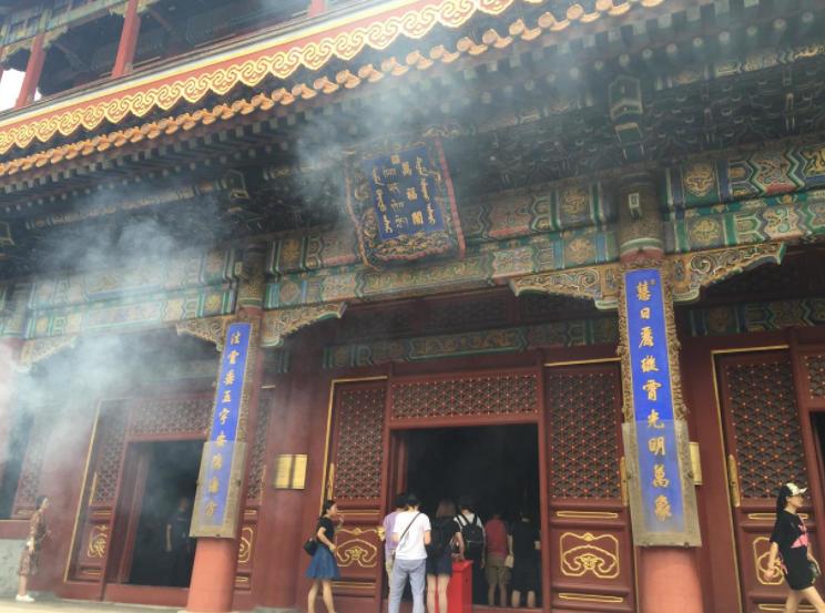 我在原始做代购全文阅读免费,我在原始做代购剧透