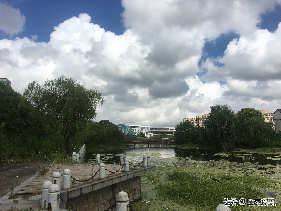 上海五大民办大学,上海48所学校停办