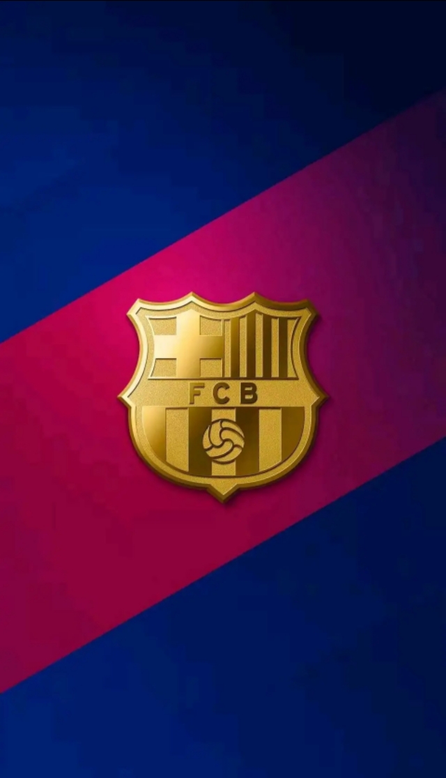 巴萨铁血队队长普约尔,巴萨队徽图片原图