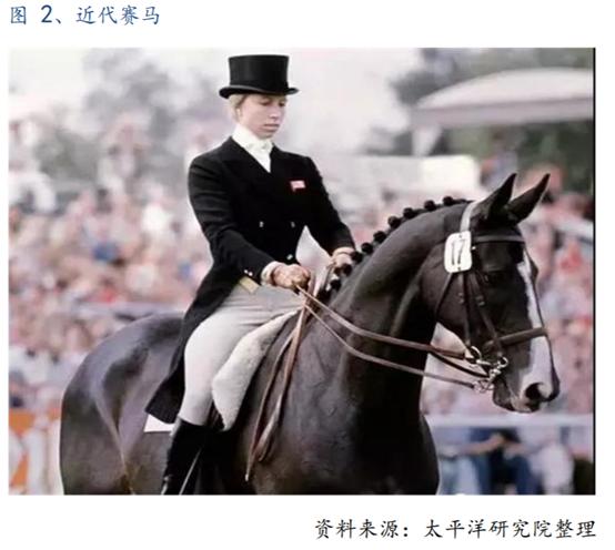 体育行业报告,体育赛马项目介绍