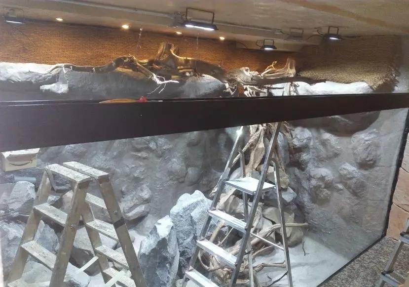 自己做大型水陆缸,在家自己打造一个沙漠缸