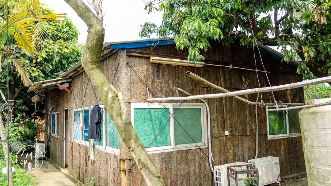 广州隐世峡谷游玩攻略,广州要坐船才能登的小岛