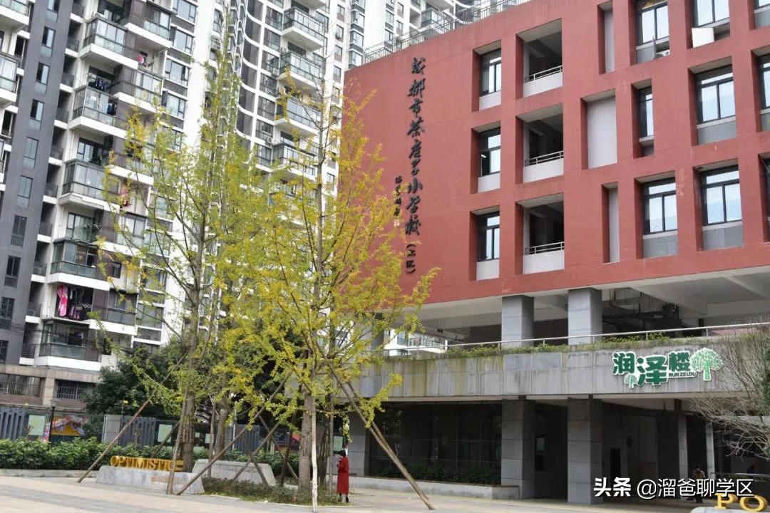 石笋街和茶店子小学怎么选,茶店子小学vs石笋街小学选哪个