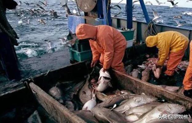 “群体免疫”出反骨，冰岛如何做到旅游发展，疫情防控双不误