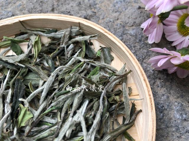 为白茶中的茶梗平反,虽然不好看,对滋味却大有贡献