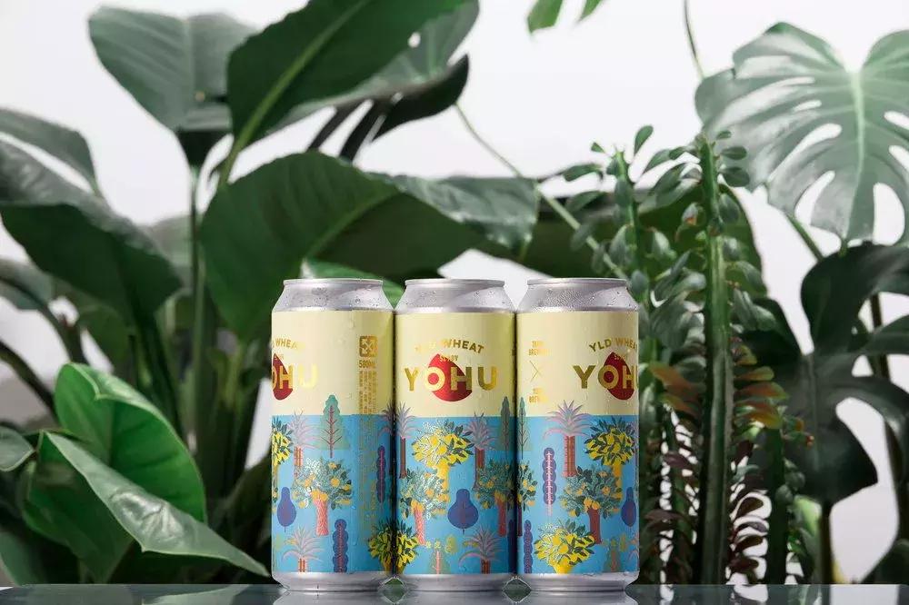 铝皮罐与铁皮罐区别,铝合金罐和铁罐谁好