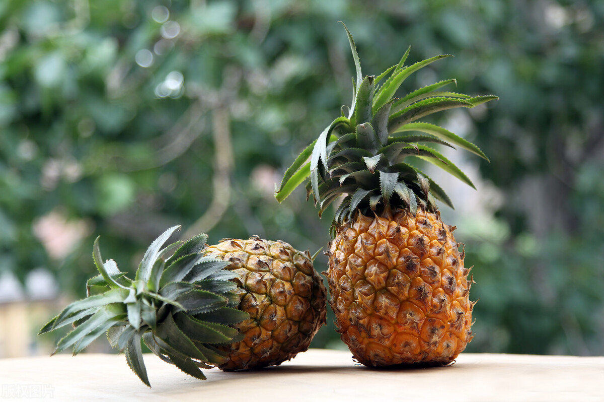 吃菠萝时容易嘴麻，不要泡盐水了，教你正确的方法，又脆又甜