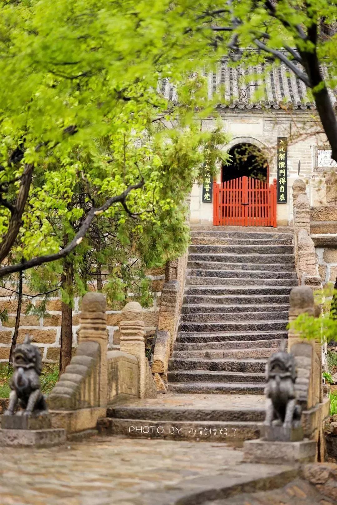 北京京郊童话树屋,台湾神奇的树屋