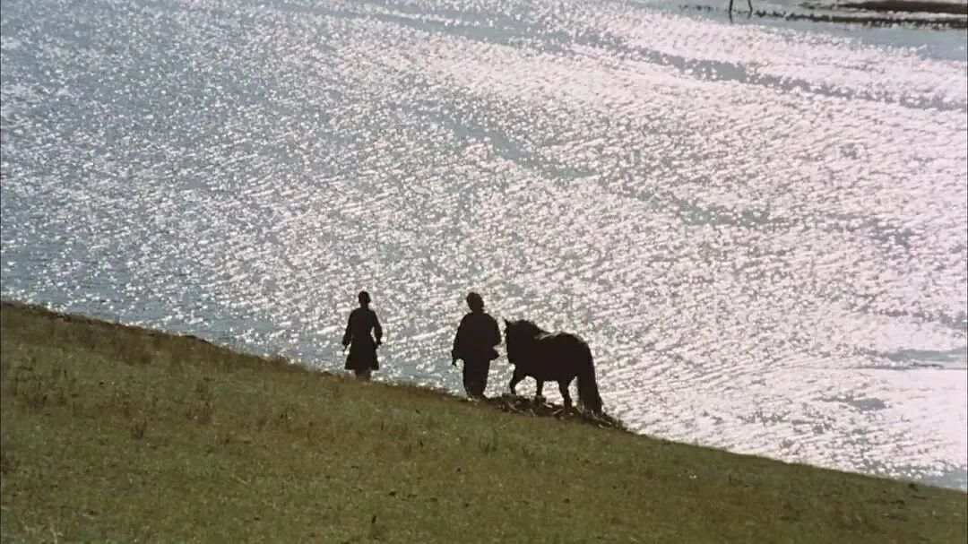 腾格尔曾经出演过哪部电影,腾格尔友情出演的电影