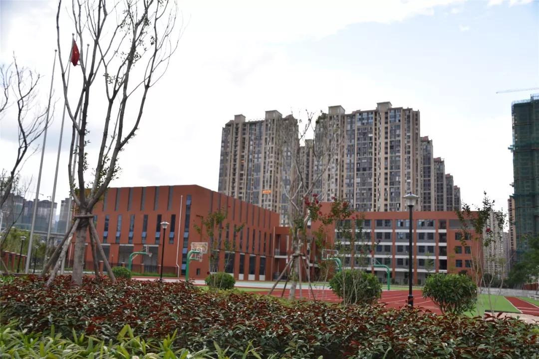 东山片区最新评测,上半年各楼盘业绩排名