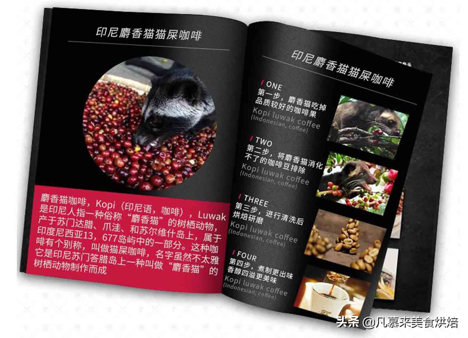 云南咖啡你必须了解的中国好咖啡,云南咖啡高端咖啡