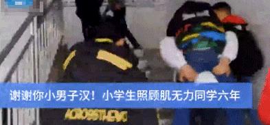 被偷*拍偷**下的20组画面：2019一整年的温暖，全都在这里了