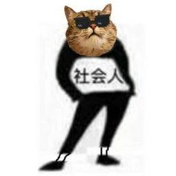 四款0差评水乳,十款零差评水乳套装测评