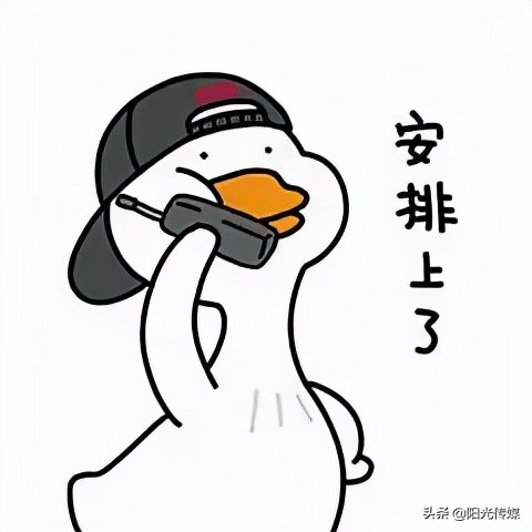 旌阳区就业见习岗位,旌阳区城北找工作