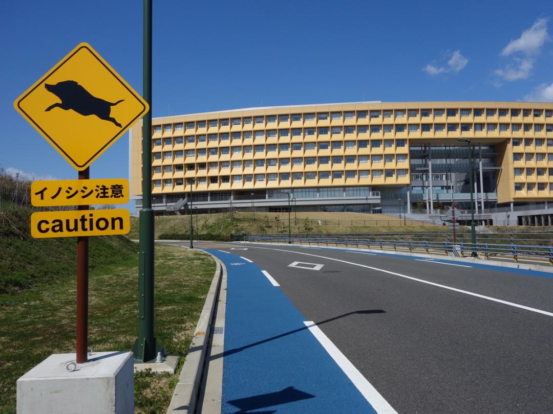 日本九州大学和福冈大学,日本九州大学与西南大学