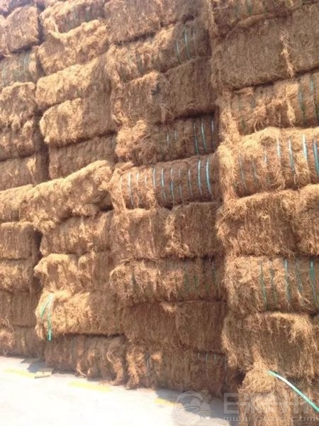 床垫种类那么多，每天还是睡不好。可能是你还没GET到新技能