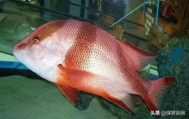 海鲜大荟萃,常见贝壳类海鲜