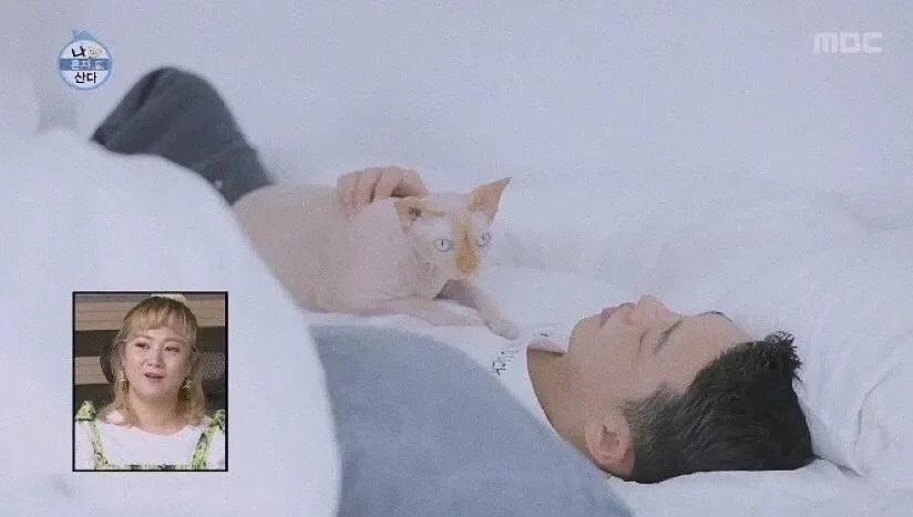 韩星刘亚仁58亿豪宅,韩星刘亚仁