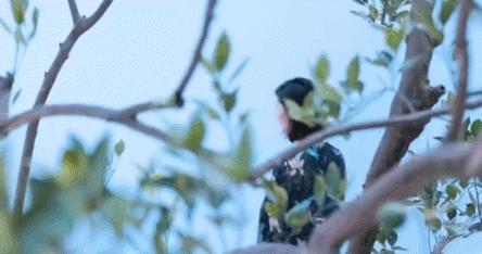 刘雯高级感家居,刘雯工作室装修