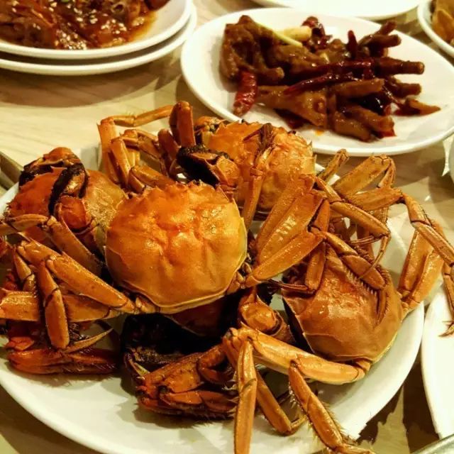 长沙最多明星去的店,长沙有哪些明星开的店铺