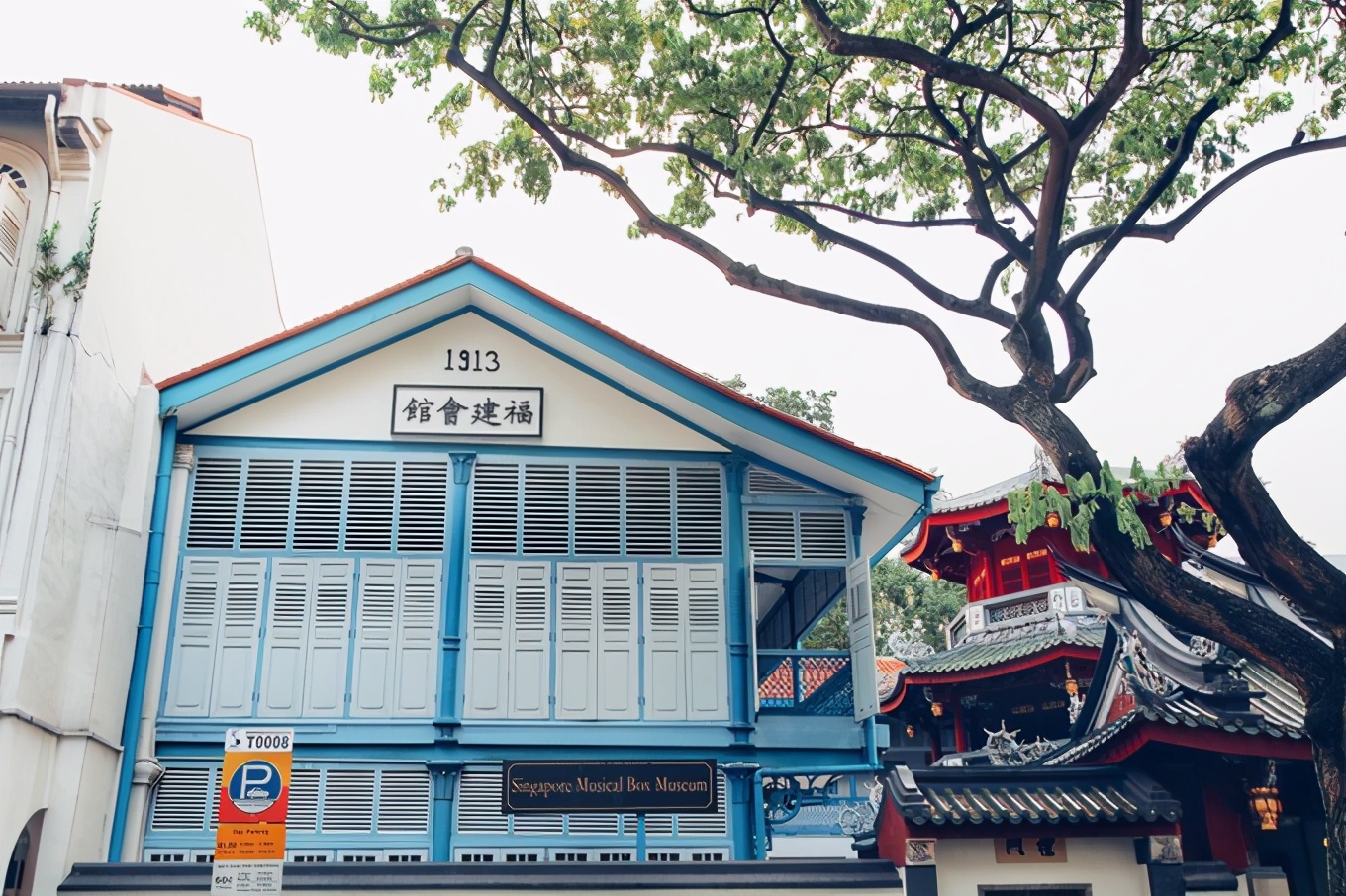 「怀念系列」新加坡|平价米其林+小众景点,3.5D我们不走寻常路3