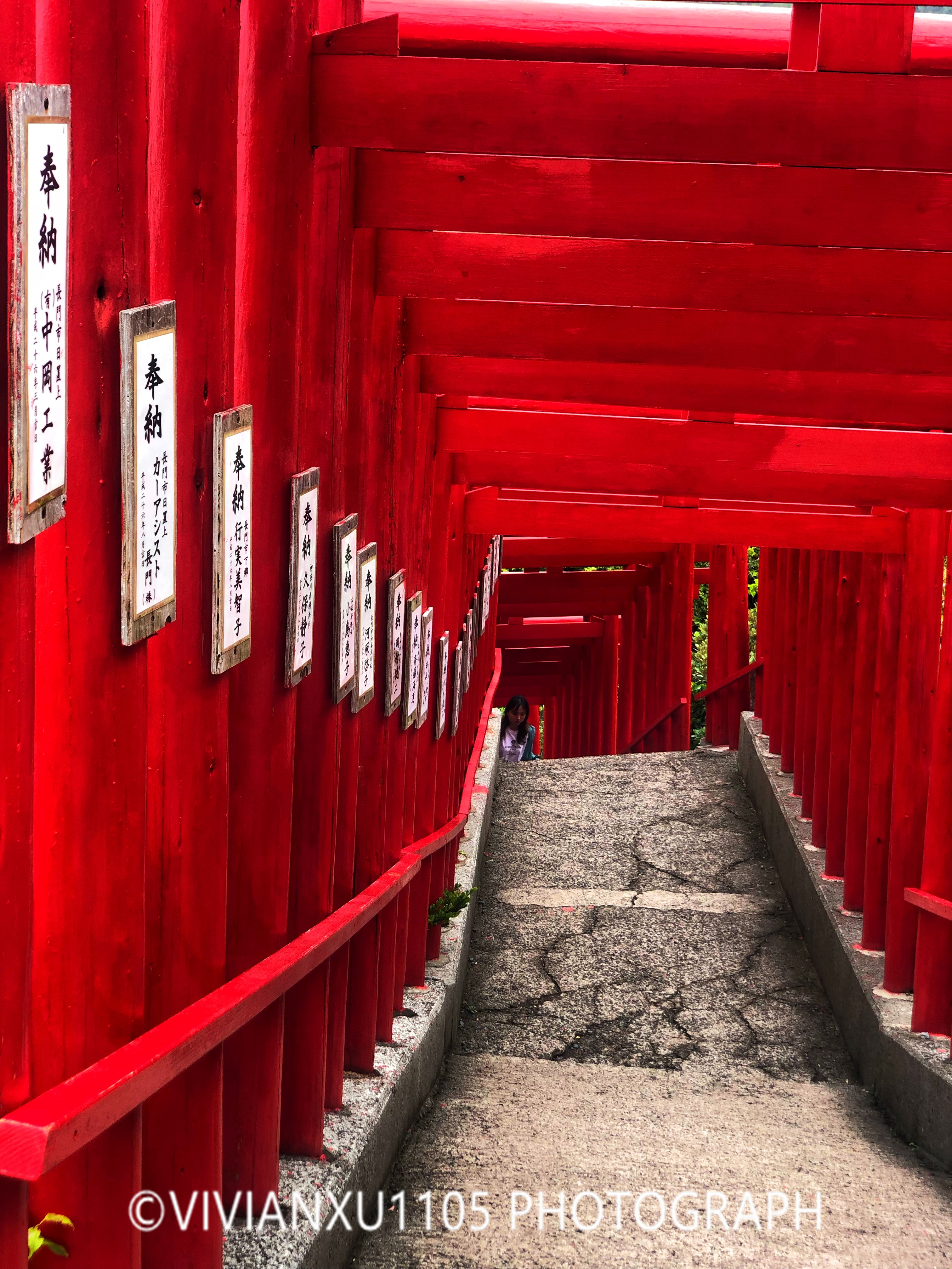 日本本州岛山阴山阳地区纯玩行程美图合集