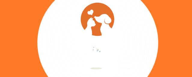 狗狗犬瘟半夜抽搐吐白沫怎么办,幼犬抽搐口吐白沫查不出犬瘟