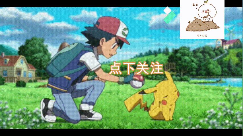 宝可梦里面的所有的宝可梦,宝可梦伊布全部进化形态