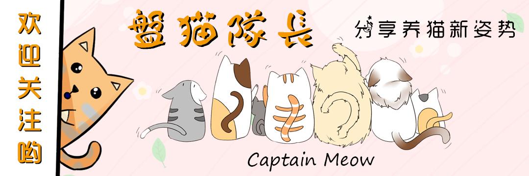 猫咪怎么判定是中暑死的,室温30度猫咪会中暑吗