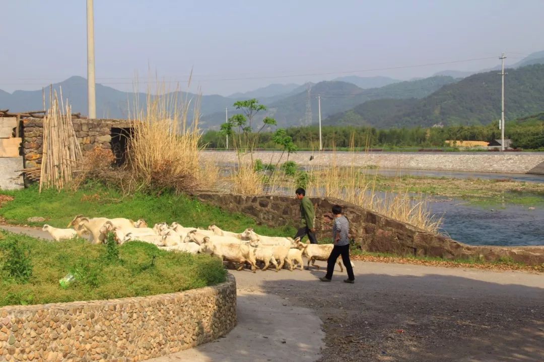 宁波踏青必去十大景点,宁波踏青景点介绍视频