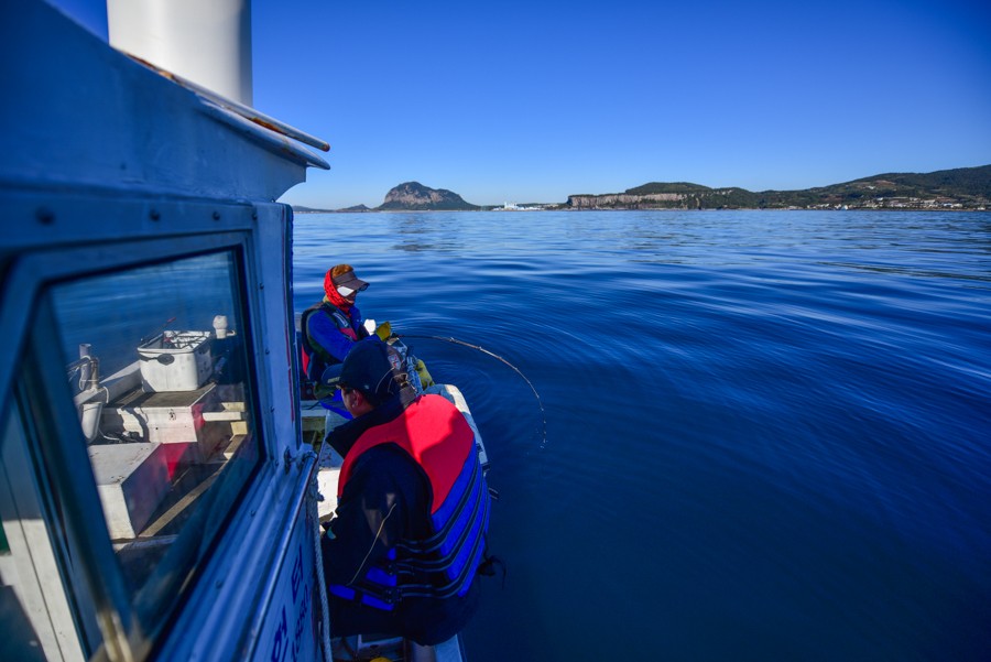 韩国济州岛简短介绍,济州特产冷知识