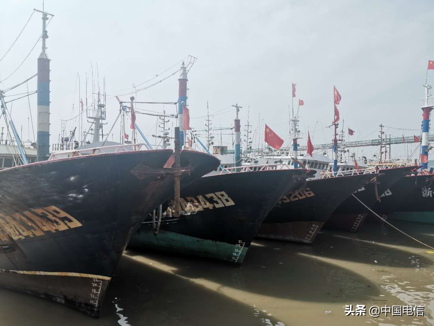 电信5g信号变成4g信号,电信5g信号能覆盖多远