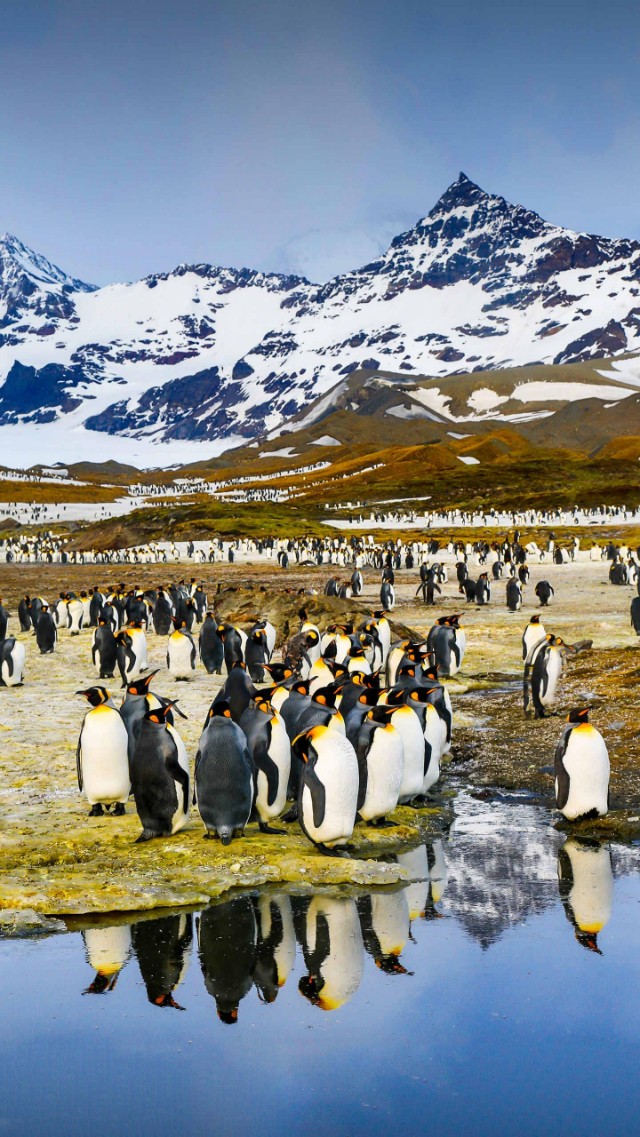 精美二次元壁纸高清,60张绝美壁纸超清