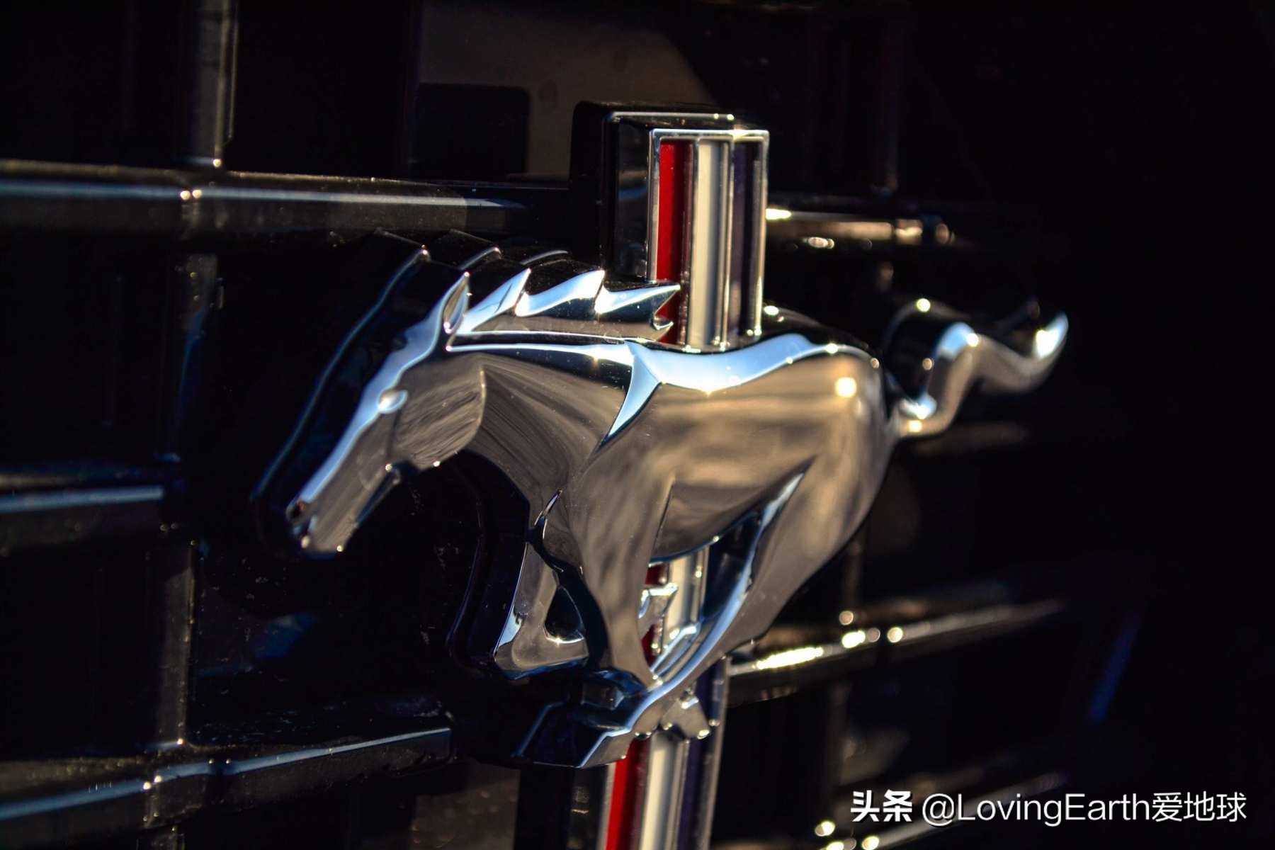 福特野马gt豪华跑车2024,福特野马gt敞篷加州限量版