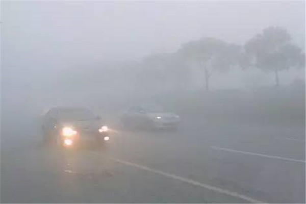 油箱用什么材料做的,油箱是什么塑料做的