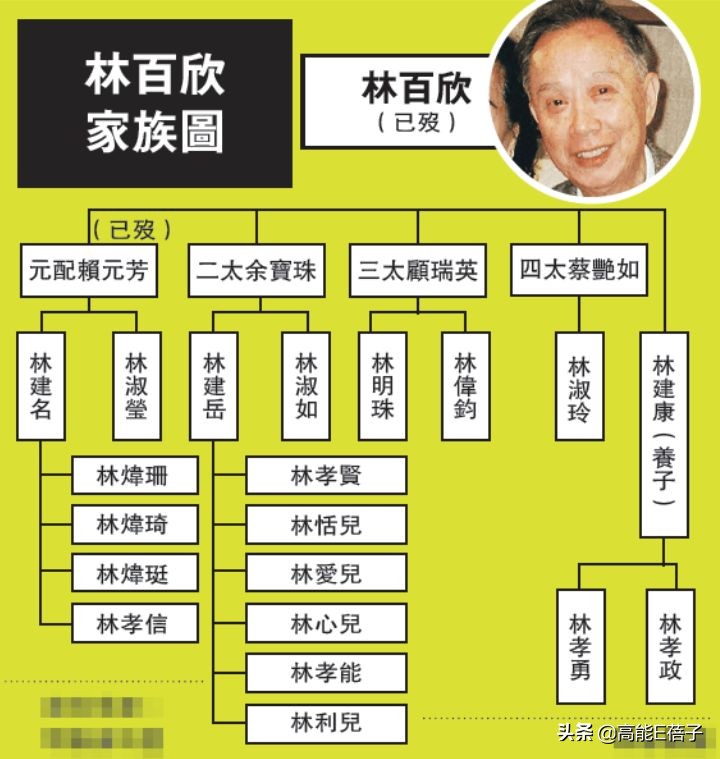 璞棬鍐嶈捣椋庝簯,棣欐腐璞棬涓変唬鍚嶅獩