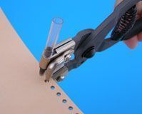 花开不败原文书摘,花开不败靠的是什么