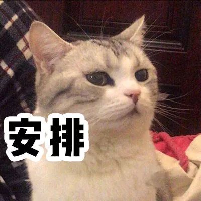 肇庆不限户籍的学校,肇庆小学非本市户口入学基本条件