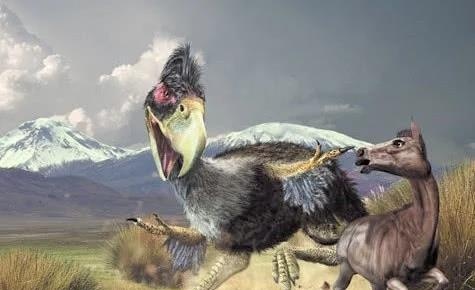 世界上最长的3米巨型蜈蚣,史前十大巨兽排行榜棘龙