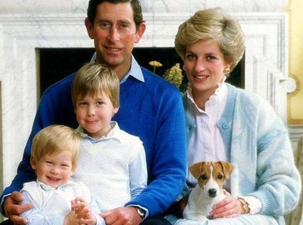 戴安娜穿裙子的视频,戴安娜王妃捡拐杖